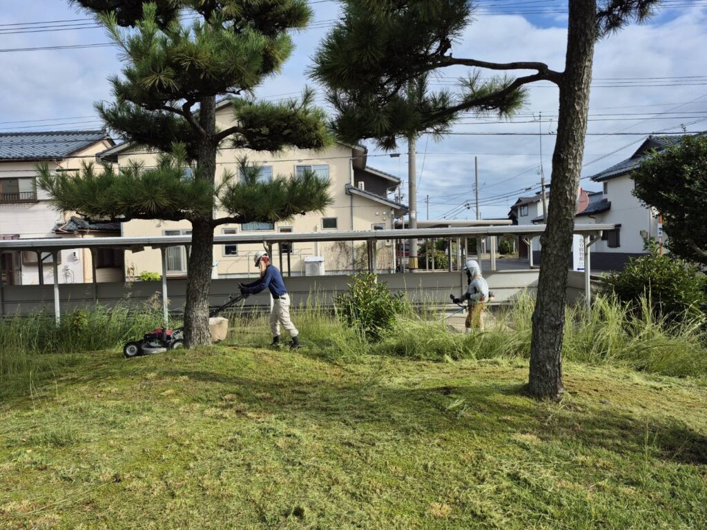 庭の雑草対策リフォーム3選！防草シート・人工芝・砂利敷きの費用比較