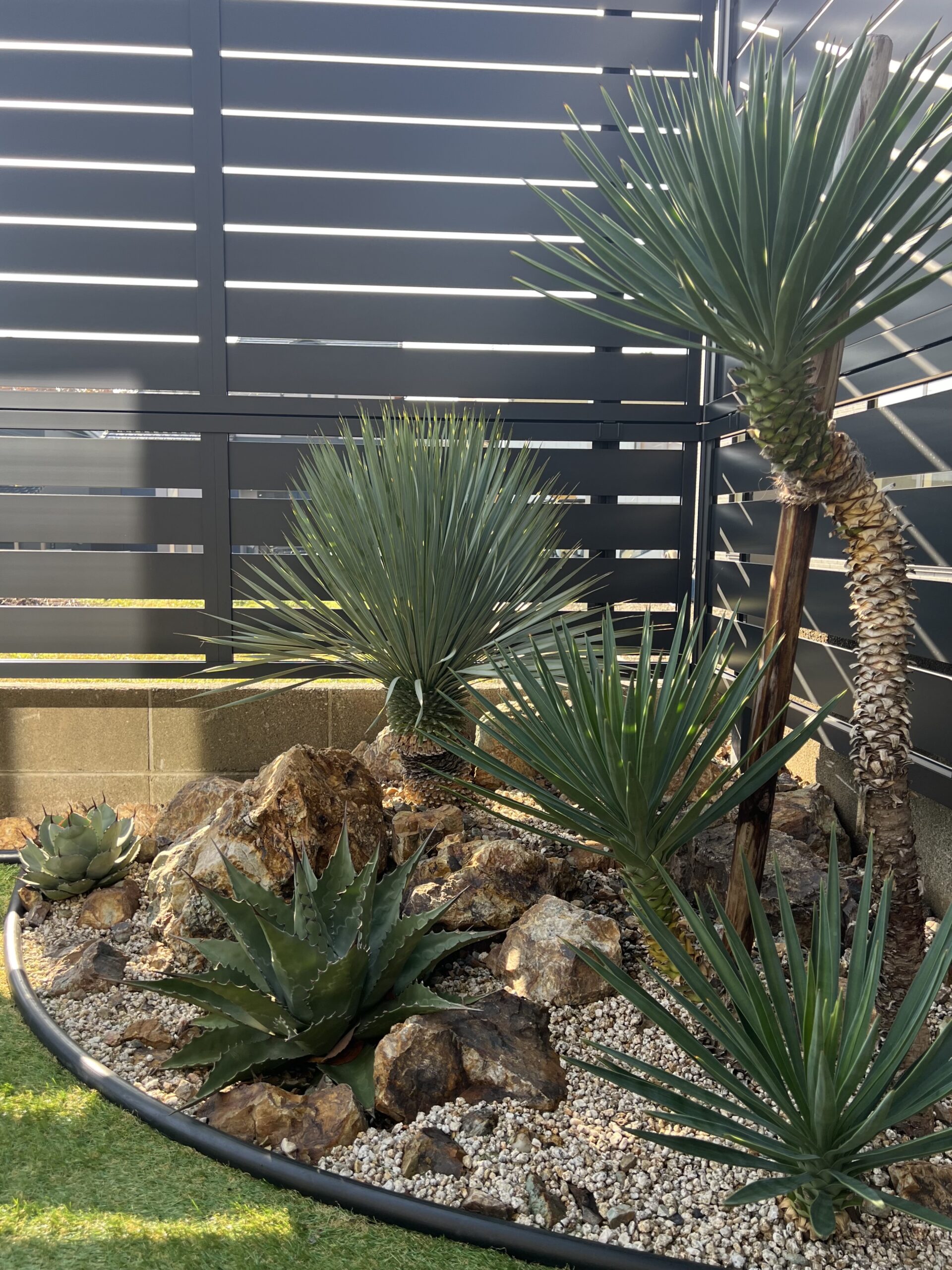 目隠しフェンス前のドライガーデン(ユッカ・アガベ・自然石)|福井市S様邸